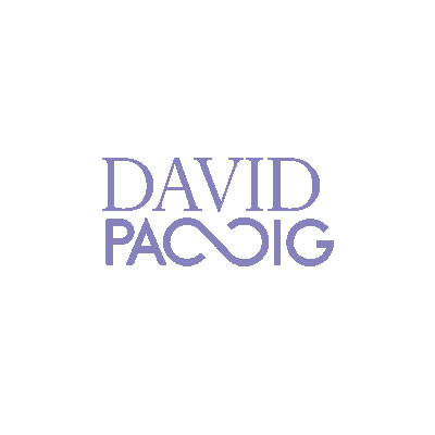 David Passig